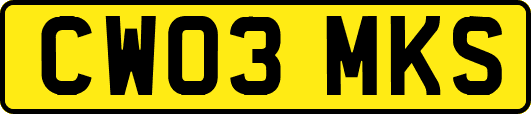 CW03MKS