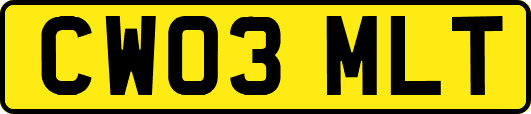 CW03MLT