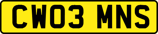 CW03MNS