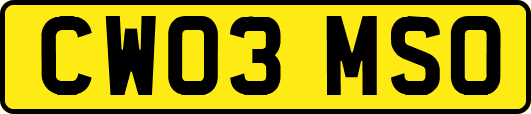CW03MSO