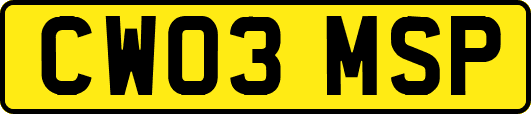CW03MSP