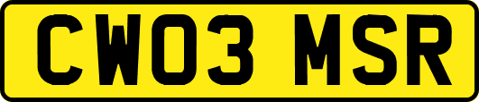 CW03MSR