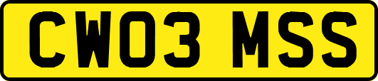 CW03MSS