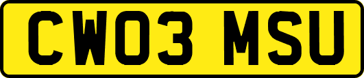 CW03MSU