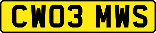 CW03MWS