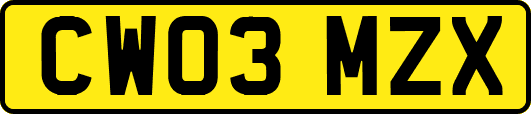 CW03MZX