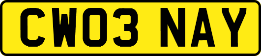 CW03NAY