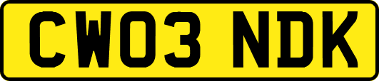 CW03NDK