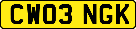 CW03NGK