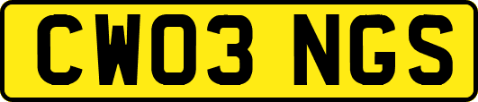 CW03NGS