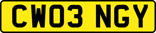 CW03NGY