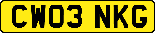 CW03NKG