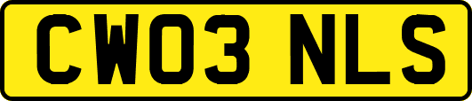 CW03NLS
