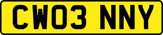CW03NNY