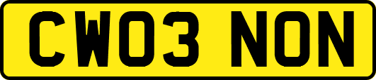 CW03NON