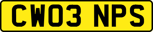CW03NPS