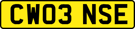 CW03NSE