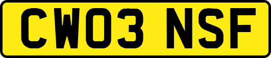 CW03NSF