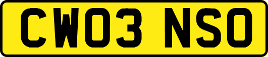 CW03NSO