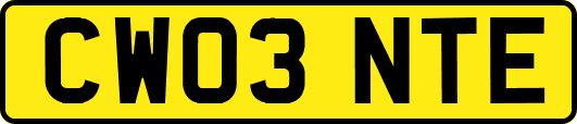 CW03NTE