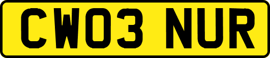 CW03NUR