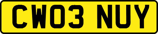 CW03NUY
