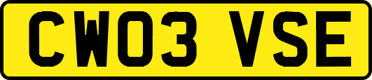 CW03VSE