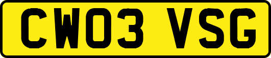 CW03VSG