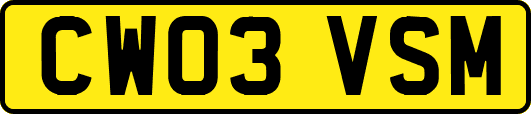 CW03VSM