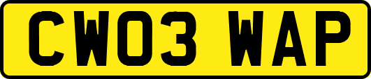 CW03WAP