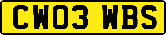 CW03WBS