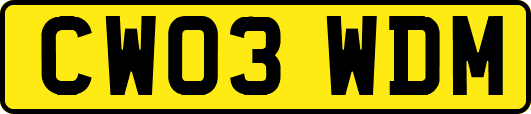 CW03WDM