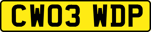 CW03WDP