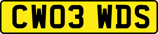 CW03WDS
