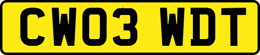 CW03WDT