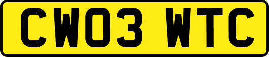 CW03WTC