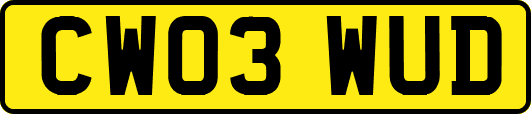 CW03WUD