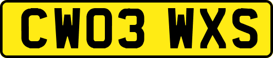 CW03WXS