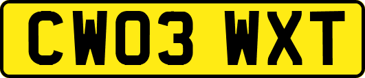 CW03WXT