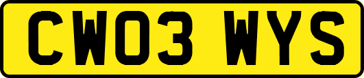 CW03WYS