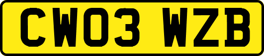 CW03WZB