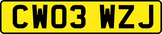 CW03WZJ