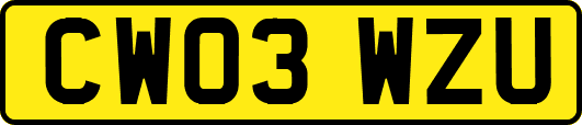 CW03WZU