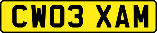 CW03XAM