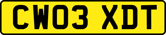 CW03XDT