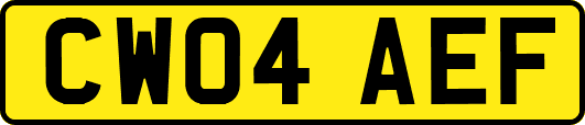 CW04AEF