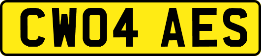 CW04AES