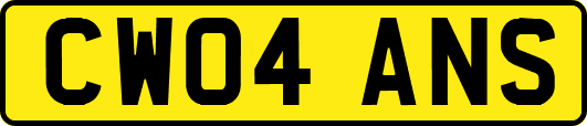 CW04ANS