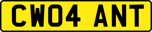 CW04ANT