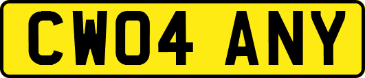 CW04ANY